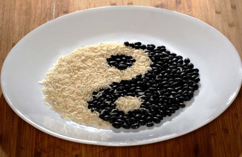 What is the yin and yang?