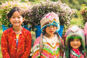 Why a Vietnam Custom Tour is the Ultimate Way to Experience the Northeast Loop
