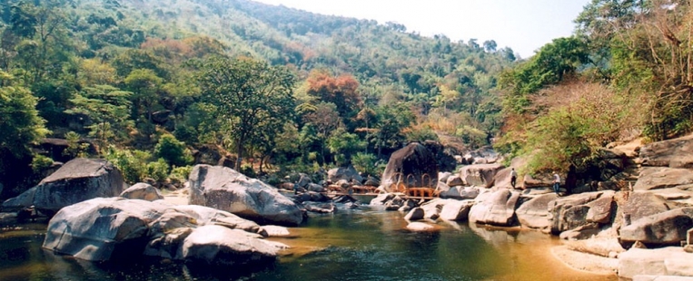 Yok Don National Park to boost elephant-friendly tourism