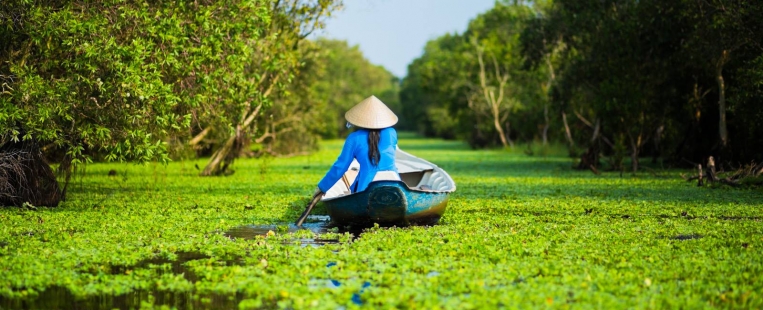 Vietnam attracts curiosity of tourists