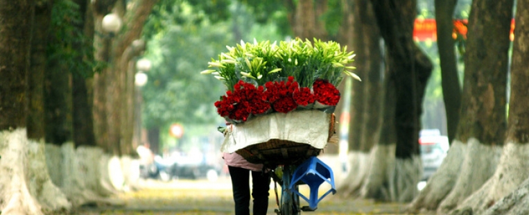 The economy of Vietnam