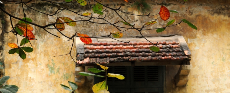 The European influences