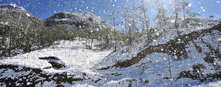 Lao Cai: Sa Pa forests covered by snow